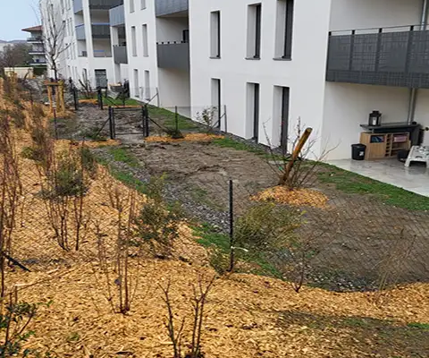 WhatsApp Image 2026-02-13 at 10.32.33 copie